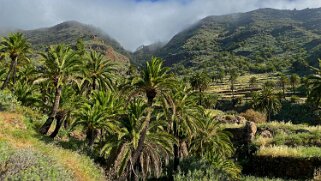 Barranco de Guarimiar - La Gomera La Gomera 2023