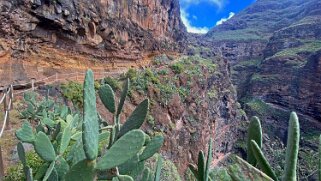 Barranco de Guarimiar - La Gomera La Gomera 2023