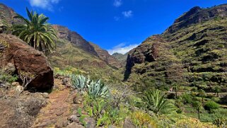 Barranco de Guarimiar - La Gomera La Gomera 2023