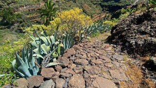 Barranco de Guarimiar - La Gomera La Gomera 2023