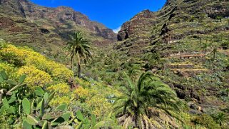 Barranco de Guarimiar - La Gomera La Gomera 2023