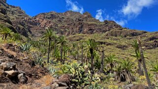 Barranco de Guarimiar - La Gomera La Gomera 2023