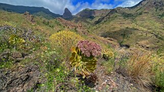 Barranco de Benchijigua - Roque de Agando 1250 m - La Gomera La Gomera 2023