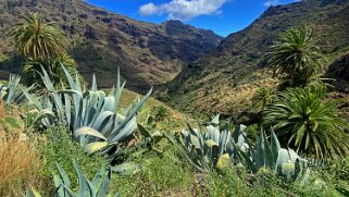 Barranco de Benchijigua - La Gomera La Gomera 2023