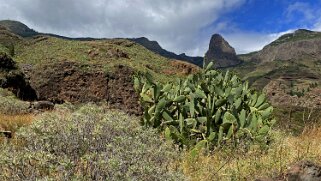 Barranco de Benchijigua - Roque de Agando 1250 m - La Gomera La Gomera 2023