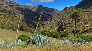 Barranco de Benchijigua - La Gomera La Gomera 2023