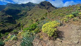 Roca Hongo - La Gomera La Gomera 2023