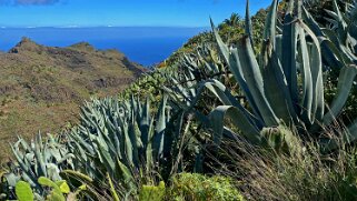 Roca Hongo - La Gomera La Gomera 2023