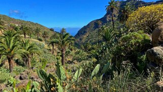 2023 Barranco de Guarimar Benchijigua