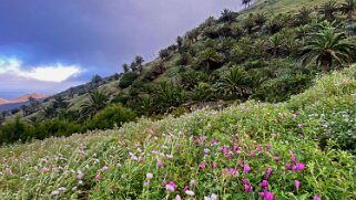 Barranco de Tazo - La Gomera La Gomera 2023