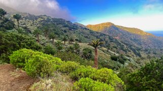 Barranco de Tazo - La Gomera La Gomera 2023