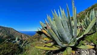 Barranco de Tazo - La Gomera La Gomera 2023