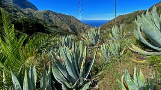 Barranco de Tazo - La Gomera La Gomera 2023