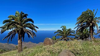 Barranco de Tazo - La Gomera La Gomera 2023