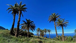 Barranco de Tazo - La Gomera La Gomera 2023