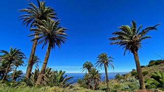 Barranco de Tazo - La Gomera La Gomera 2023