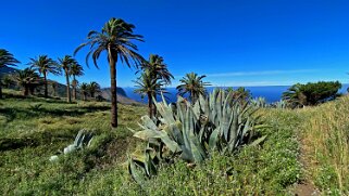 Barranco de Tazo - La Gomera La Gomera 2023