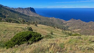 Barranco de Tazo - La Gomera La Gomera 2023