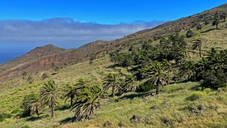 Barranco de Tazo - La Gomera La Gomera 2023