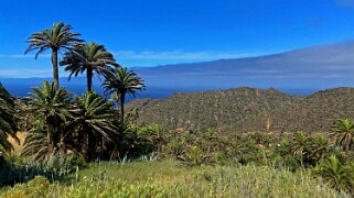 Barranco de Tazo - La Gomera La Gomera 2023