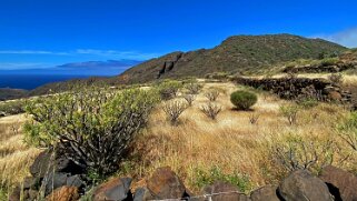 Barranco de Tazo - La Gomera La Gomera 2023