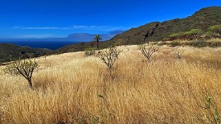 2023 Barranco de Tazo