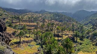 Barranco de Tazo - La Gomera La Gomera 2023