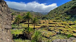 Barranco de Tazo - La Gomera La Gomera 2023