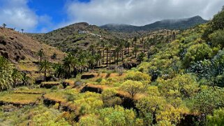 Barranco de Tazo - La Gomera La Gomera 2023