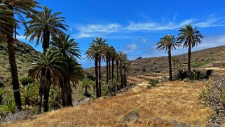 Barranco de Tazo - La Gomera La Gomera 2023