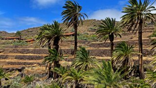 Barranco de Tazo - La Gomera La Gomera 2023