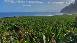 Hermigua - La Gomera La Gomera 2023