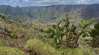 Hermigua - La Gomera La Gomera 2023