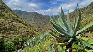 Hermigua - La Gomera La Gomera 2023