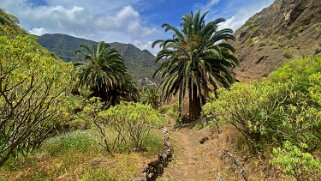 Hermigua - La Gomera La Gomera 2023