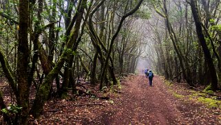 Parc national de Garajonay - La Gomera La Gomera 2023