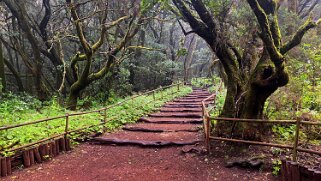 Parc national de Garajonay - La Gomera La Gomera 2023