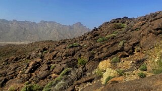 Roques de Garcia - Parc national du Teide - Tenerife La Gomera 2023