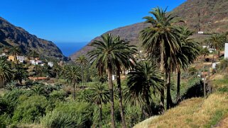 Barranco del Agua - Valle Gran Rey - La Gomera La Gomera 2023