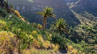 Barranco del Agua - Valle Gran Rey - La Gomera La Gomera 2023