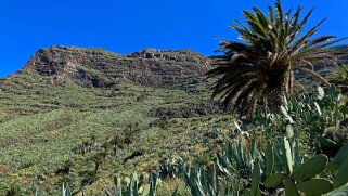 Barranco del Agua - Valle Gran Rey - La Gomera La Gomera 2023