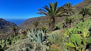 Barranco del Agua - Valle Gran Rey - La Gomera La Gomera 2023