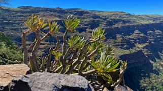 Barranco del Agua - Valle Gran Rey - La Gomera La Gomera 2023