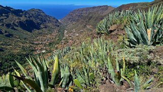 Barranco del Agua - Valle Gran Rey - La Gomera La Gomera 2023