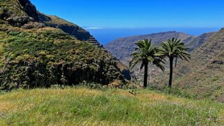 Barranco del Agua - Valle Gran Rey - La Gomera La Gomera 2023