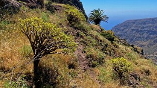 Barranco del Agua - Valle Gran Rey - La Gomera La Gomera 2023