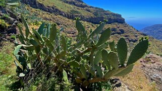 Barranco del Agua - Valle Gran Rey - La Gomera La Gomera 2023