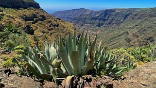 Barranco del Agua - Valle Gran Rey - La Gomera La Gomera 2023