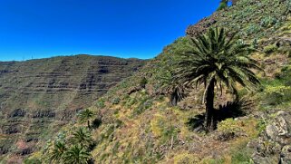 Barranco del Agua - Valle Gran Rey - La Gomera La Gomera 2023