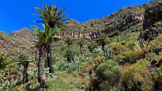 Barranco del Agua - Valle Gran Rey - La Gomera La Gomera 2023